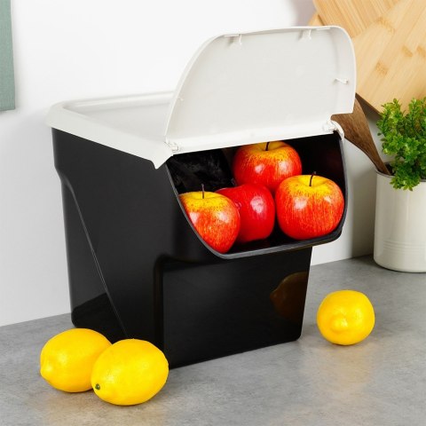 Pojemnik na warzywa i owoce ziemniaki cebulę z pokrywą popielaty 13L VILDE 730510-P