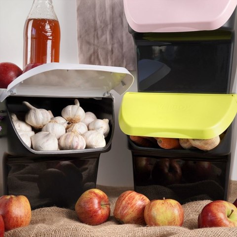 Pojemnik na warzywa i owoce ziemniaki cebulę z pokrywą zielony 13L VILDE 730510-L