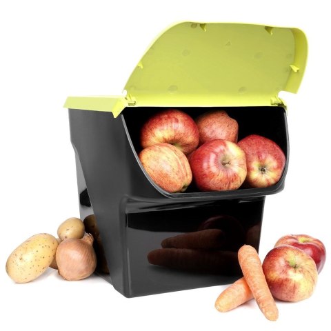 Pojemnik na warzywa i owoce ziemniaki cebulę z pokrywą zielony 13L VILDE 730510-L