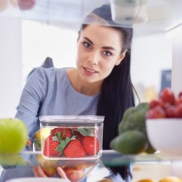 Pojemnik na żywność jedzenie pokarm kwadratowy 500 ml EXCELLENT HOUSEWARE 259142