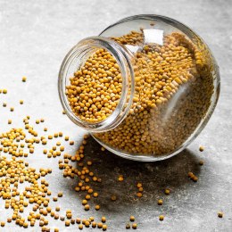 Pojemnik na żywność szklany 1.7L ORION 127545