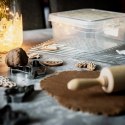 Pojemnik plastikowy na żywność jedzenie z pokrywką PŁATEK 4.5L ORION 127198
