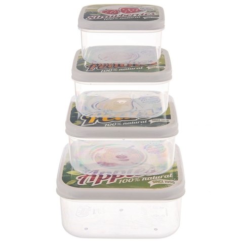 Pojemniki plastikowe na żywność jedzenie owoce pojemnik 4-ele ORION 154057