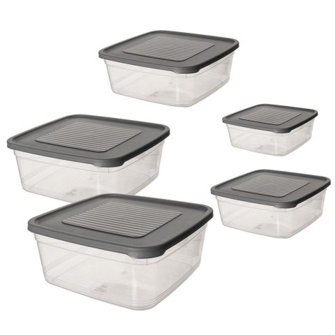 Pojemniki plastikowe na żywność jedzenie pojemnik 5-ele ORION 153642