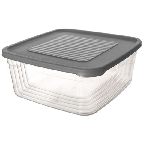 Pojemniki plastikowe na żywność jedzenie pojemnik 5-ele ORION 153642