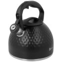Czajnik na gaz stalowy z gwizdkiem indukcja 2.7L czarny matowy diament BRUNBESTE BB-2468