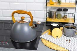 Czajnik stalowy z gwizdkiem gaz indukcja DUŻY 3L szary matowy BRUNBESTE BB-2363