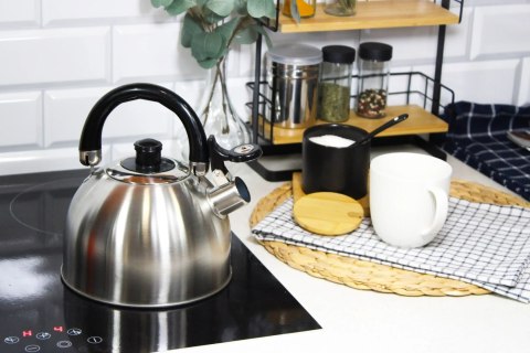 Czajnik stalowy z gwizdkiem na gaz indukcję 2L srebrny satynowy BRUNBESTE BB-2401-S