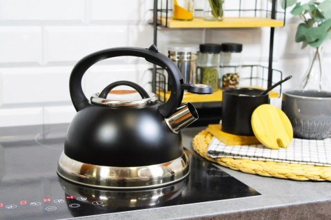 Czajnik stalowy z gwizdkiem tradycyjny na indukcję gaz 2.5L czarny BRUNBESTE BB-2273