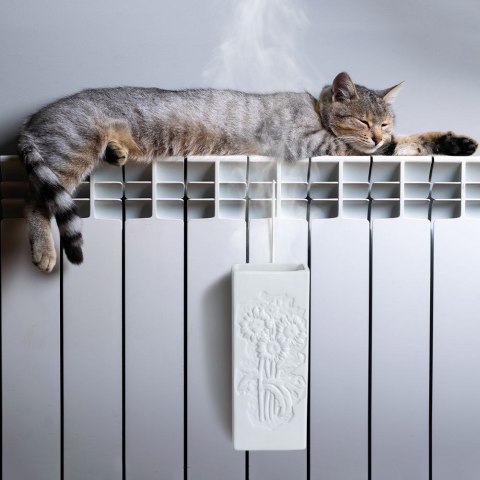 Nawilżacz powietrza na kaloryfer grzejnik ewaporacyjny ceramiczny biały 300 ml VILDE 830809