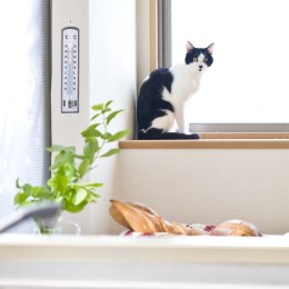 Termometr drewniany zewnętrzny i wewnętrzny do pokoju analog 21cm ORION 830229