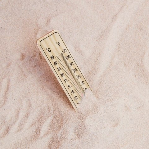 Termometr zewnętrzny i wewnętrzny analogowy wieszany MDF 22cm PROGARDEN 569289