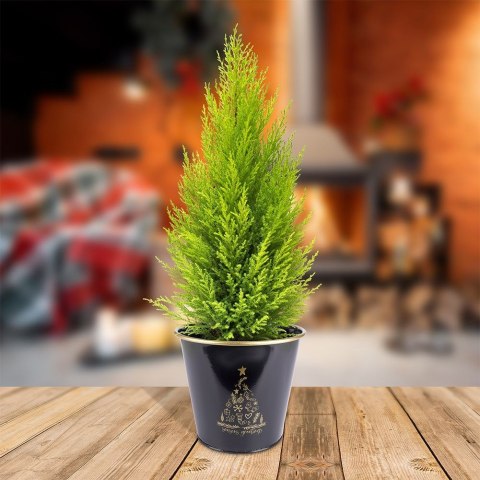 Osłona na doniczkę doniczki duża osłonka metalowa czarna świąteczny wzór 23x20cm VILDE 839253