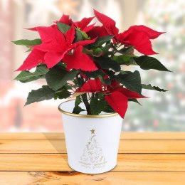 Osłona na doniczkę doniczki osłonka mała metalowa biała świąteczny wzór 16.5x15.5cm VILDE 839249