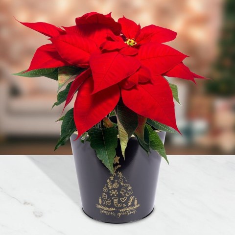 Osłona na doniczkę doniczki osłonka mała metalowa czarna świąteczny wzór 20.5x18cm VILDE 839251