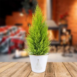 Osłona na doniczkę doniczki osłonka metalowa biała 23x20cm VILDE 839254