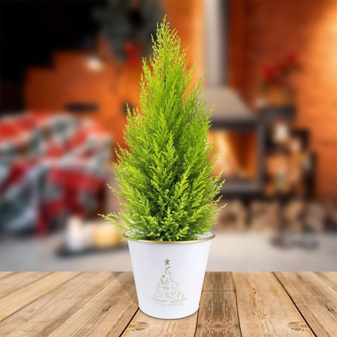 Osłona na doniczkę doniczki osłonka metalowa biała 23x20cm VILDE 839254