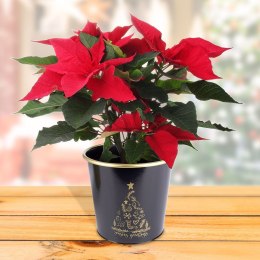 Osłona na doniczkę doniczki osłonka metalowa czarna 16.5x15.5cm VILDE 839248