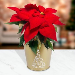 Osłona na doniczkę doniczki osłonka metalowa złota 20.5x18cm VILDE 839250