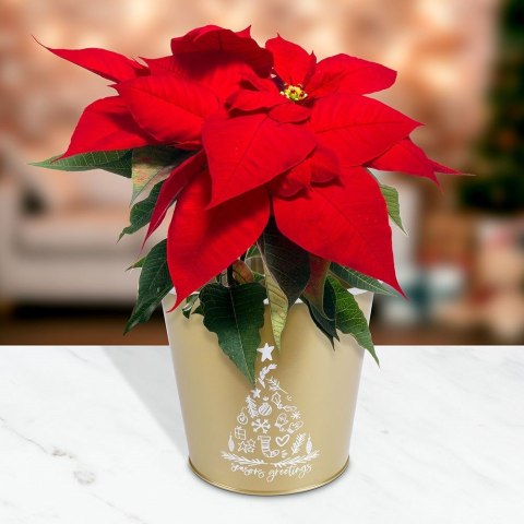 Osłona na doniczkę doniczki osłonka metalowa złota 20.5x18cm VILDE 839250