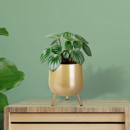 Osłona na doniczkę doniczki osłonka na nóżkach metalowa złota 14.5x20cm VILDE 339287-M