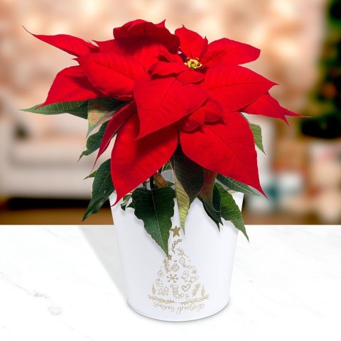 Osłona na doniczkę doniczki osłonka średnia metalowa biała świąteczny wzór 20.5x18cm VILDE 839252