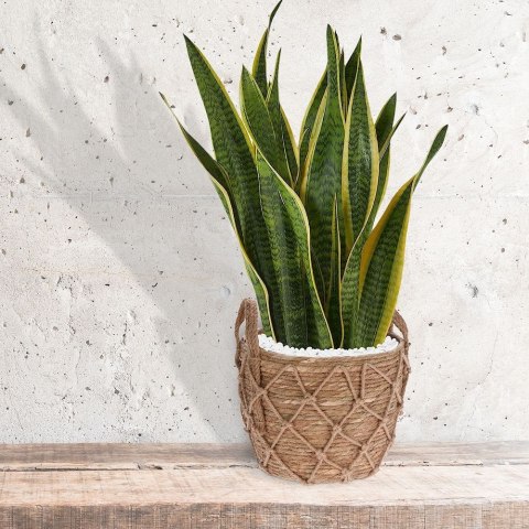 Osłona na doniczkę doniczki osłonka trawa morska 24x20cm HOME STYLING COLLECTION 339223-M