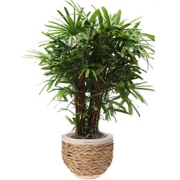 Osłona na doniczkę doniczki osłonka trawa morska 26x21cm HOME STYLING COLLECTION 339169-S