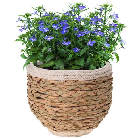 Osłona na doniczkę doniczki osłonka trawa morska 26x21cm HOME STYLING COLLECTION 339169-S