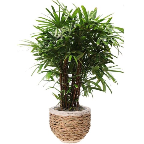 Osłona na doniczkę doniczki osłonka trawa morska 32x26cm HOME STYLING COLLECTION 339169-D