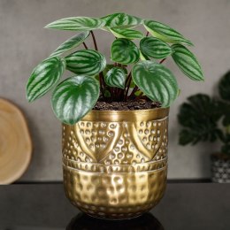 Osłonka na doniczkę metalowa złota doniczka osłona 14x14.5cm VILDE 569415