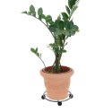 Podstawka pod doniczkę donicę na kółkach metalowa stojak 35 cm PROGARDEN 330216