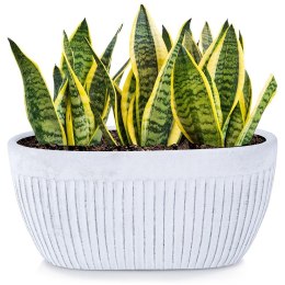 Doniczka ceramiczna donica biała 26x13cm VILDE 569915