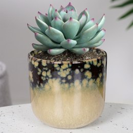 Doniczka porcelanowa donica 9cm VILDE 569919