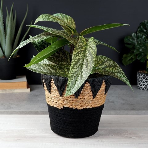 Osłona na doniczki osłonka wiklinowa doniczka czarna 24.5x20cm VILDE 569587-C