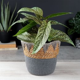 Osłona na doniczki osłonka wiklinowa doniczka szara 24.5x20cm VILDE 569587-S