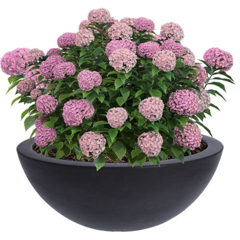 Doniczka ogrodowa plastikowa szara okrągła mała 51,5x20 cm VILDE 339317