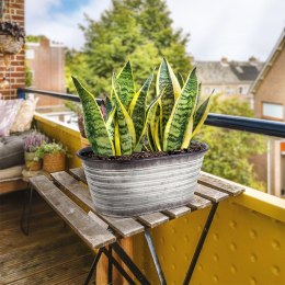 Osłonka na doniczkę metalowa 37x22x16 cm VILDE 339370