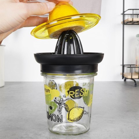 Ręczna wyciskarka do cytrusów wyciskacz ze szklanym pojemnikiem 320ml VILDE 259244